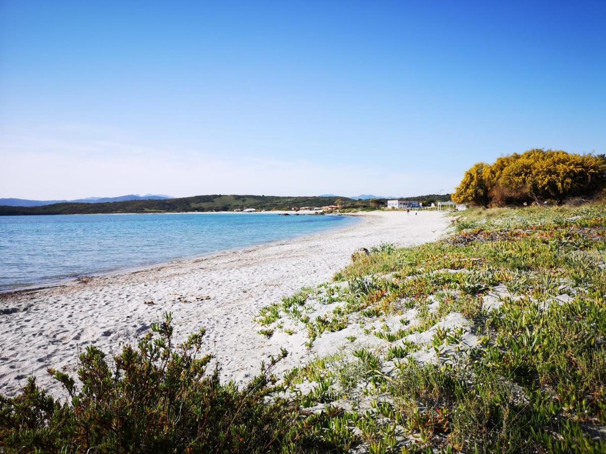 Insardinia House Trilocale A 200Mt Dalla Spiaggia Ольбия Экстерьер фото