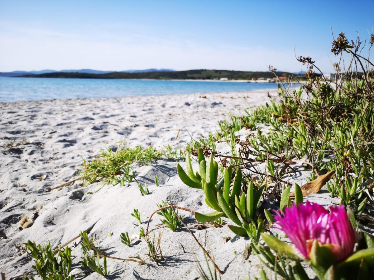 Insardinia House Trilocale A 200Mt Dalla Spiaggia Ольбия Экстерьер фото